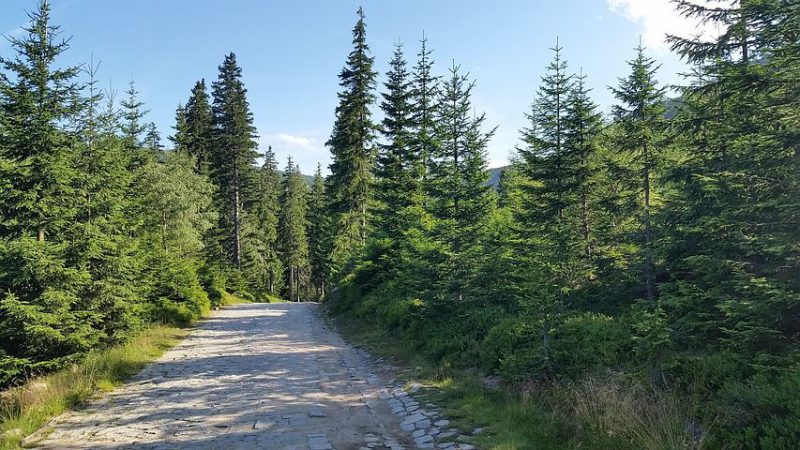 Jak unowocześniać dzialalność na wsi
