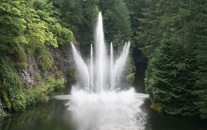 Podkategoria Szybkie Pytanie, umieszczona na witrynie Twój Własny Ogród